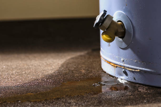 Best Water damage contractors near me  in Shepherd, TX