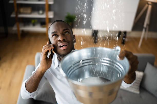 Best Carpet water damage restoration  in Shepherd, TX