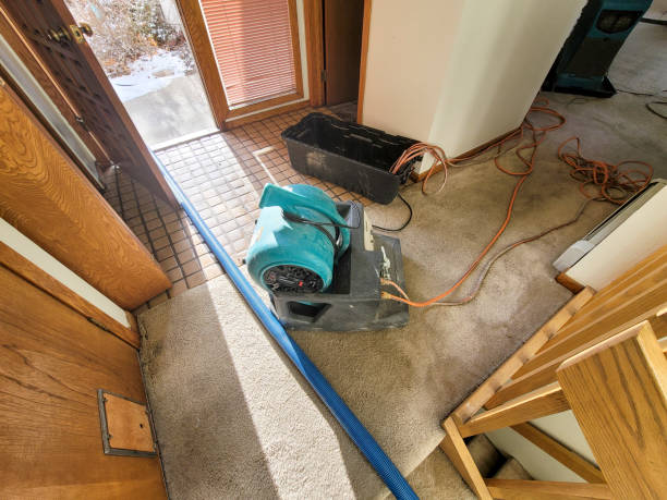 Best Carpet water damage restoration  in Shepherd, TX