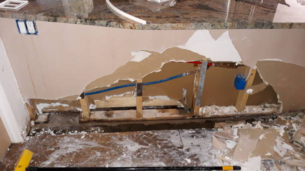 Carpet water damage restoration in Shepherd, TX