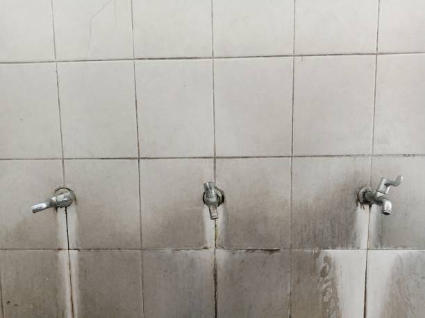 Best 24/7 water damage repair  in Shepherd, TX